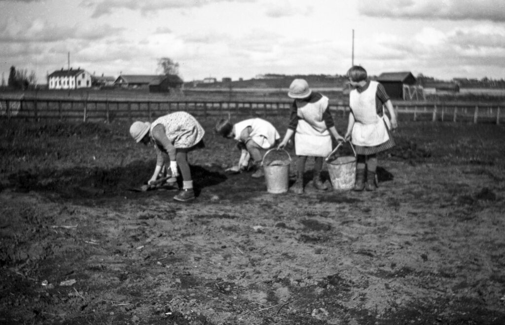 Fyra flickor i förkläden gräver i trädgården och fyller hinkar. Bild från 1933–1934.